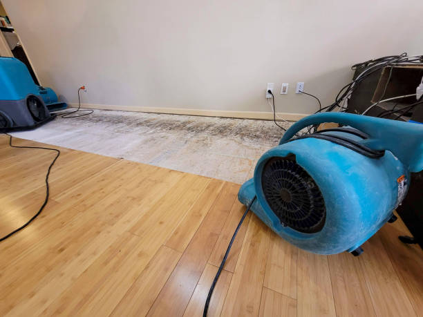 Professional Water Damage Repair technician working in Summerdale, PA